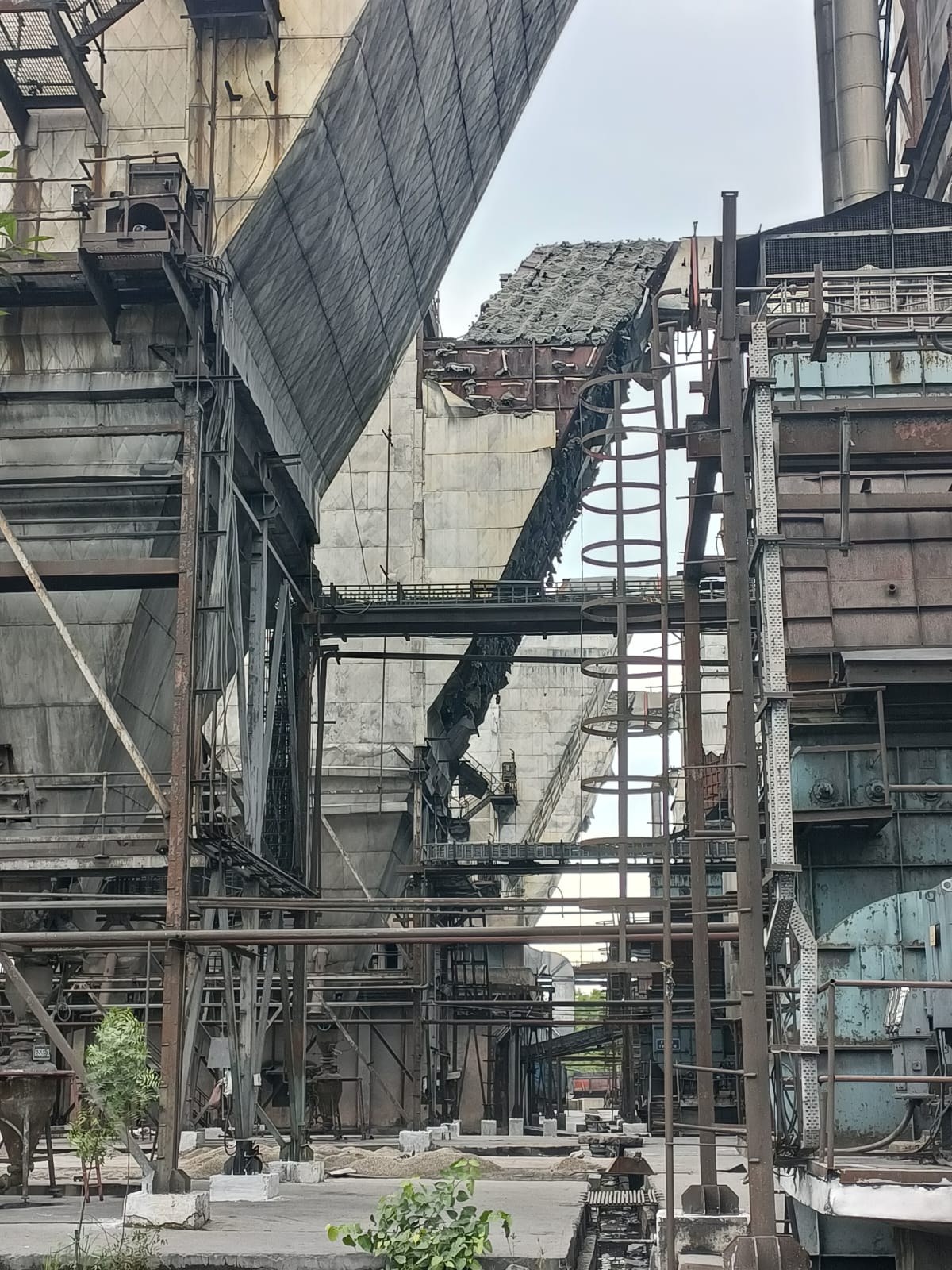 Plant Maintenance 3